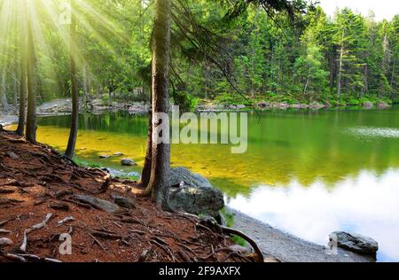 Teufelssee`s Nationalpark Sumava, Tschechische Republik. Stockfoto